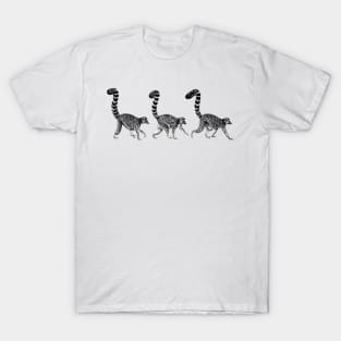 Three walking ring-tailed lemur monkeys T-Shirt